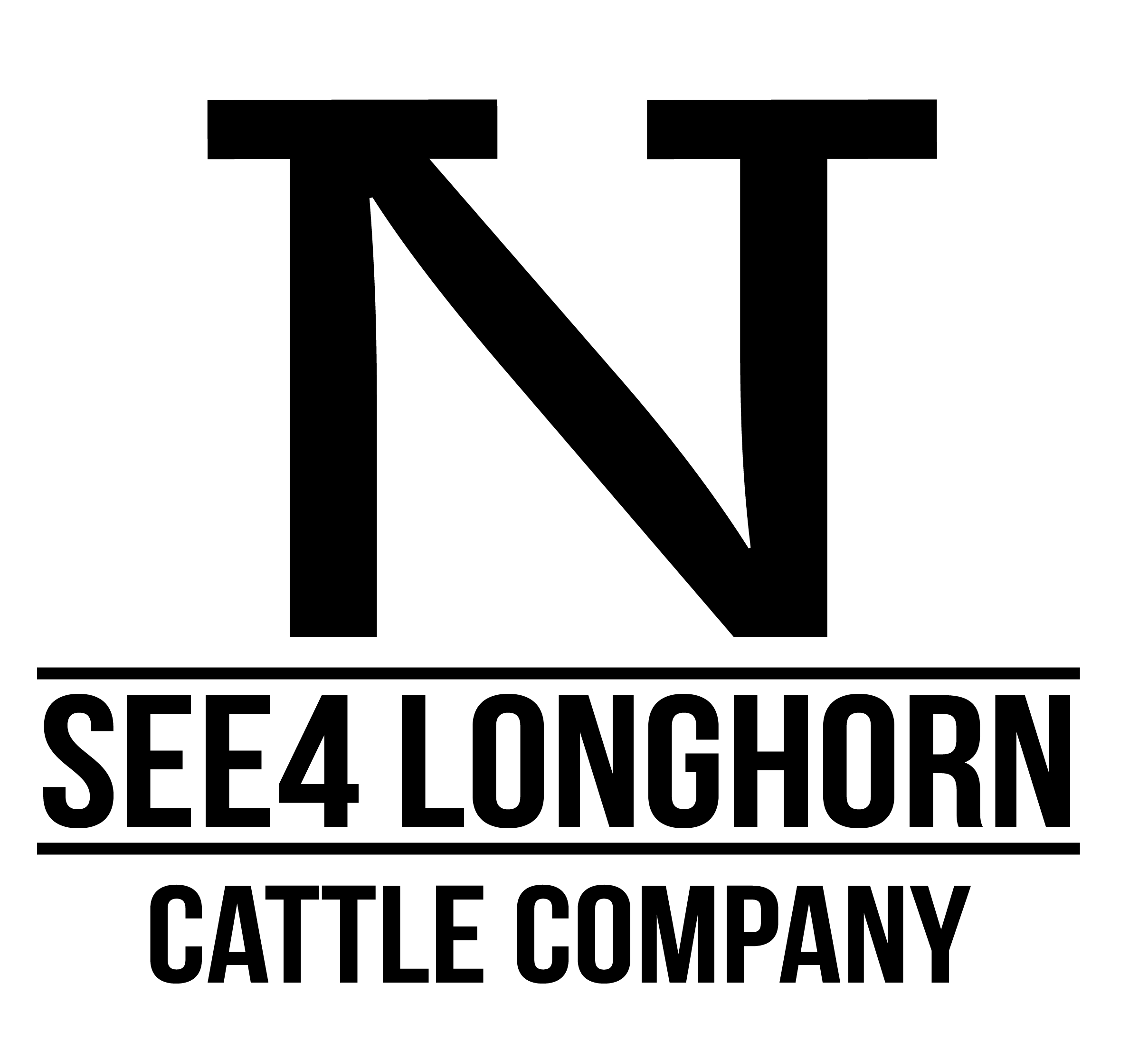See 4 Longhorns Logo